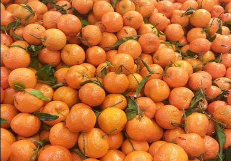 Pakistani Experts Find Non-Invasive Method to Detect Sweetness of Fruits