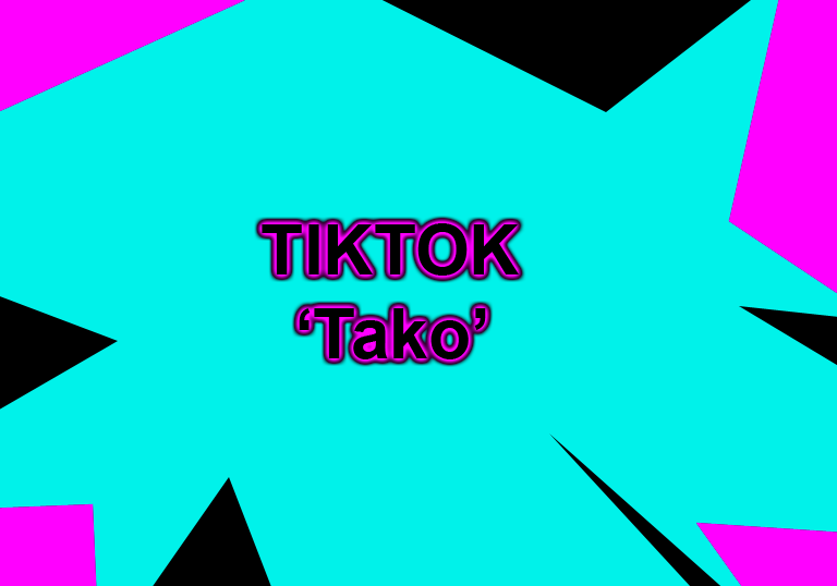 TikTok Unveils AI Chatbot 'Tako'