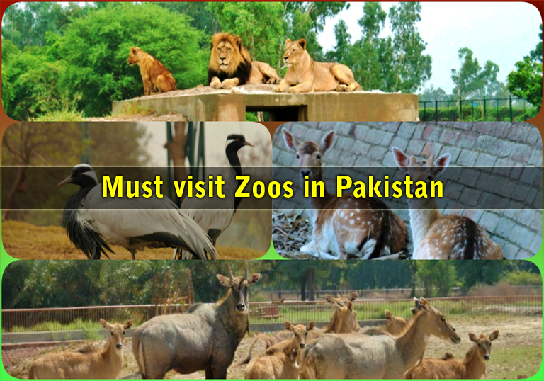Must visit Zoos in Pakistan